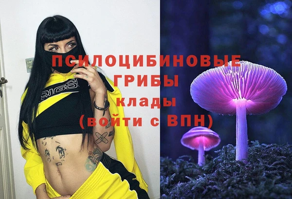 дживик Алексеевка