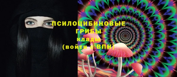 спайс Арсеньев