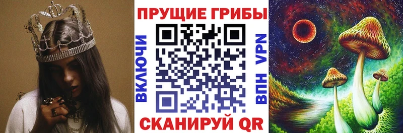 блэк спрут как войти Красный Кут Псилоцибиновые грибы MAGIC MUSHROOMS